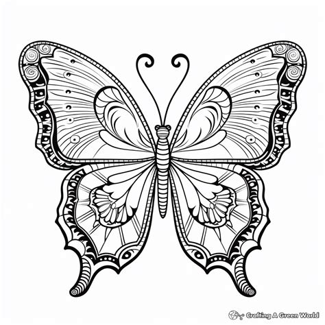 Butterfly Shaped Mandala Coloring Pages Free And Printable