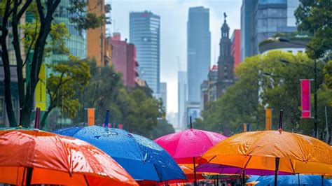 Clima En EEUU El Estado Del Tiempo Para Miami Este 16 De Abril Infobae