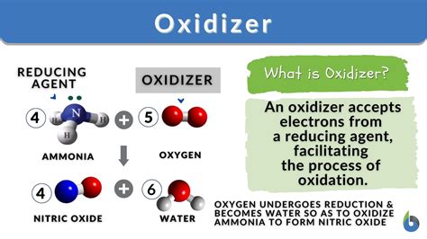 Oxidizer Definition And Examples Biology Online Dictionary