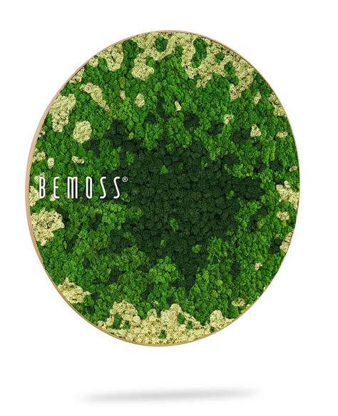 Moosbild Rund Bemoss Ortho Splash Green Bemoss