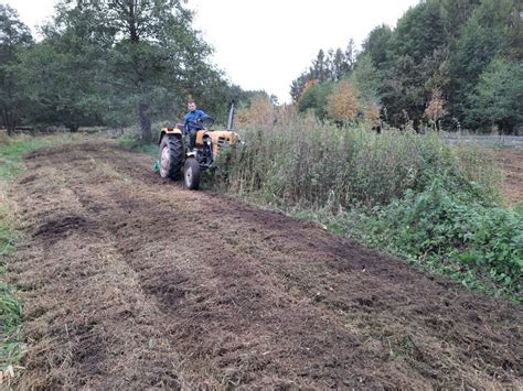 Karczowanie dzialek koszenie trawy wycinka drzew krótkie terminy