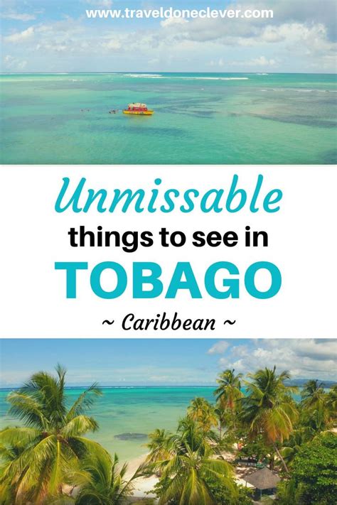 Tobago Bucket List 19 Of The Best Things To Do Travel Done Clever Caribbean Travel Travel