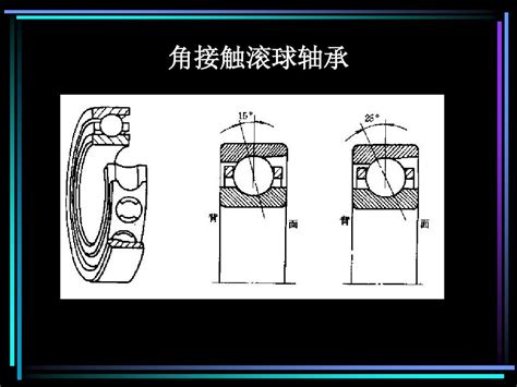 Ca6140车床主轴结构图 Word文档在线阅读与下载 免费文档