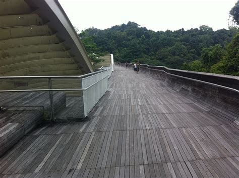 Singapore Run. Can.: Southern Ridges Trail - 6.5km