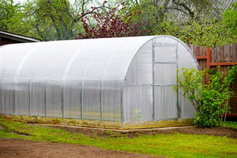 Tips for Creating a Greenhouse - FoodNerdy Recipes Management System