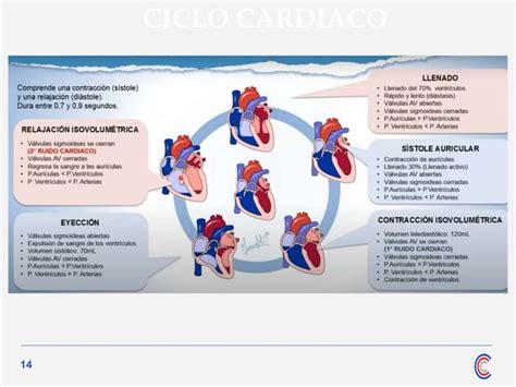 001 RECUERDO DE ANATOMIA FISIOLOGIA Y SEMIOLOGIA Pptx