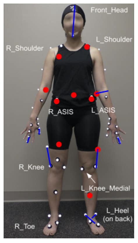 Sensors Free Full Text An Explainable Spatial Temporal Graphical