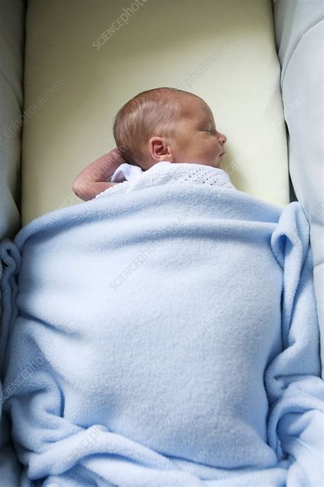 Newborn baby sleeping - Stock Image - M815/0422 - Science Photo Library