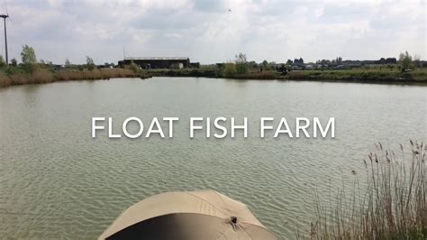 Float Fish Farm YouTube