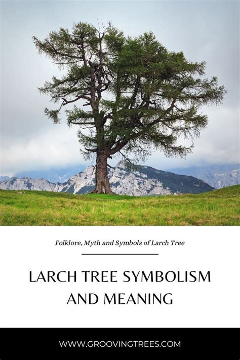 The ash tree symbolism and meaning – Artofit