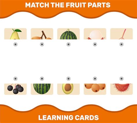 Faites Correspondre Les Parties De Fruits De Dessin Anim Jeu De