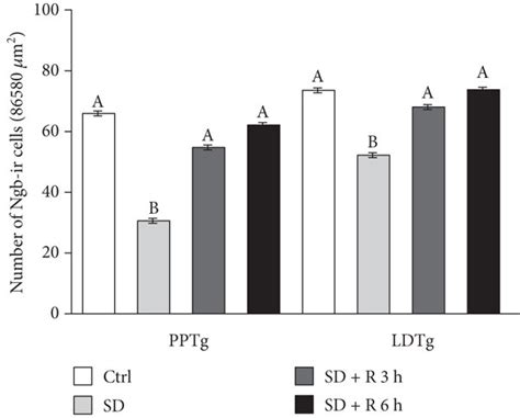 The Sleep Restored Neuroglobin Ngb Immunoreactivity A The Total