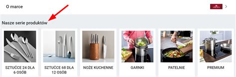 Strefa Marek Allegro - Jak dołączyć do programu? Poradnik 