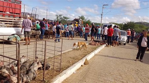 Gilson O Matuto Sonhador 2 Na Feira De Caprino Ovino E Gado Na Cidade