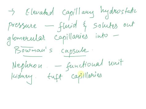 SOLVED: The elevated capillary hydrostatic pressure forces fluid and solutes out of the ...