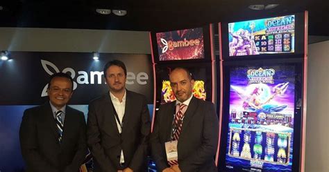 Anunciaron La Creación De Un Grupo Elite Para Combatir El Juego Ilegal