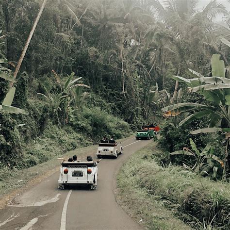 VW Safari Ubud Update 2023 Foto Lokasi Rute Tiket Masuk Dan