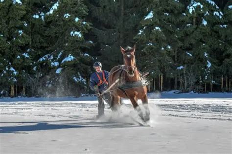 17 Best Outdoor Activities To Do In Meribel (Fun Things To Do)