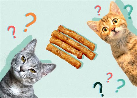 Can Cats Eat Slim Jims Vet Approved Nutritional Science Alternatives