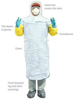 NRSG 205 - Biosafety Theory Flashcards | Quizlet 