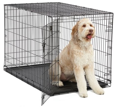 Midwest Metal Dog Crate | Crate Training Supplies | Platinum Goldendoodles