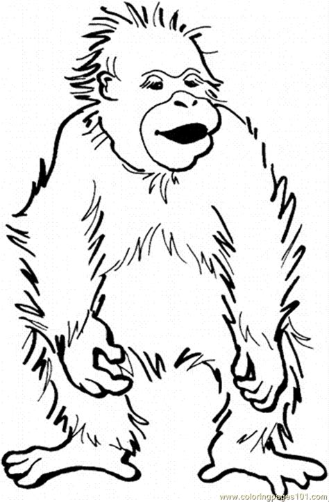 Orangutan Coloring Page Coloring Home