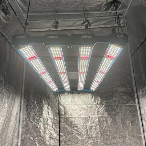 KingBrite P55 320W LM301H Grow Lights Mitre 10 For 2x4 Ft Tent With EVO ...