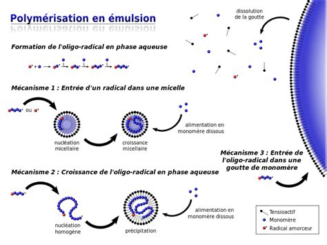 Proc D De Polym Risation D Finition Et Explications