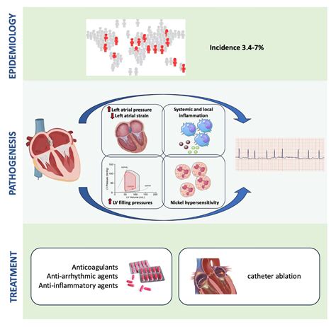 Arrhythmias Following Patent Foramen Ovale Closure An Unsolved Enigma