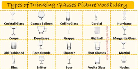 All Drinking Glasses Types & Their Uses – VocabularyAN