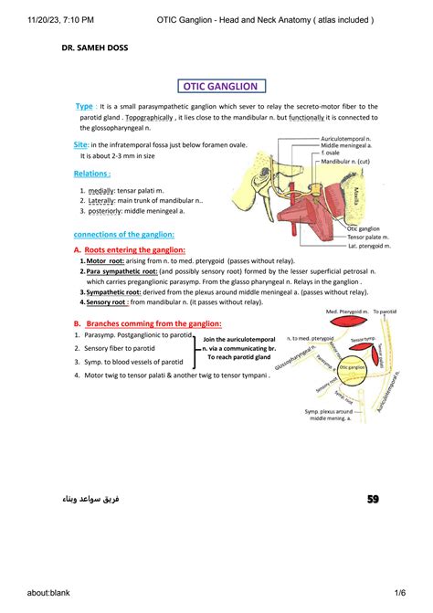 SOLUTION OTIC Ganglion Head And Neck Anatomy Atlas Included