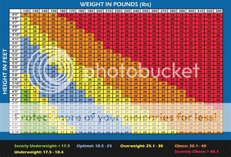 BMI Chart Men