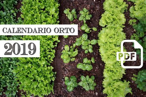 Calendario Dell Orto 2019 Di Orto Da Coltivare In Pdf