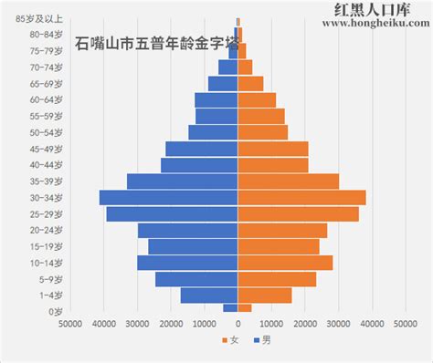 2022年 宁夏 石嘴山市人口总人数口是多少和第七次人口普查结果 红黑人口库