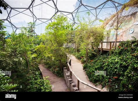 The Interior Of The Rainforest Biome At The Eden Project Complex In