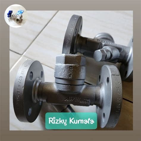 Jual Steam Trap Thermodynamic Inch Dn Pn Flange Awh Ari Cona