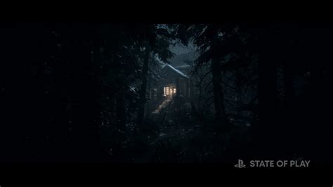 Foto Galeri Until Dawn Ps Ve Pc State Of Play Fragman G R Nt Leri