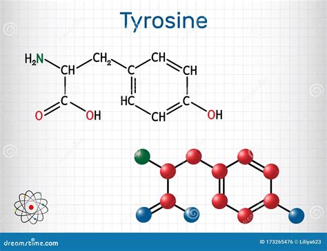 Tirosina L Tirosina Tyr Molecola Di Amminoacido C9H11NO3 Ha Un Ruolo