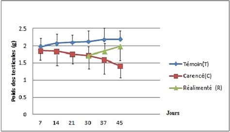 Repr Sentation Des Poids Absolus Des Gonades Chez Diff Rents Groupes De