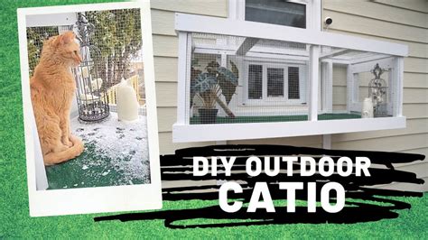 20 Free DIY Catio Plans: Build Your Outdoor Cat Enclosure