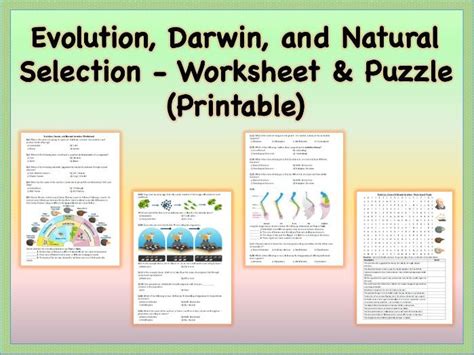 Evolution And Selection Worksheet