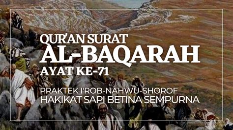 I Rob Al Baqarah 71 II Sapi Betina Yang Kontroversi II Praktek Nahwu