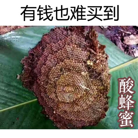 酸蜂蜜500克云南热带野生蜂蜜纯正天然野蜜地下老巢蜜无刺蜂 虎窝淘