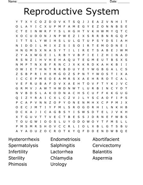 Reproductive System Word Search Wordmint