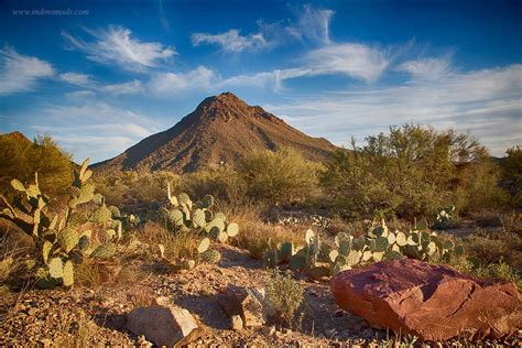 Saguaro National Park, AZ