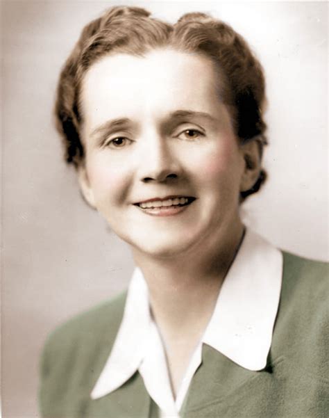 Rachel Carson | Biography, Books, & Facts | Britannica