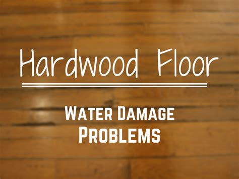 Hardwood Floor Water Damage Problems | Water Damage Restoration & Flood ...