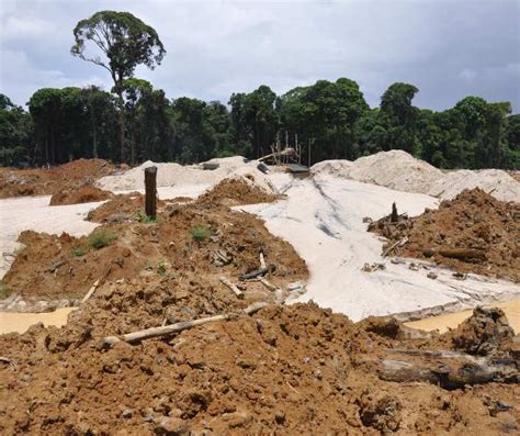 issues  utan republik foundation