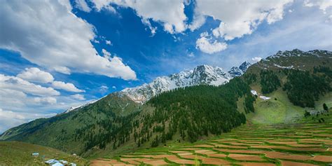 Naltar Valley - Pakistan Travel Guide