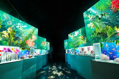 NAKED FLOWER AQUARIUM